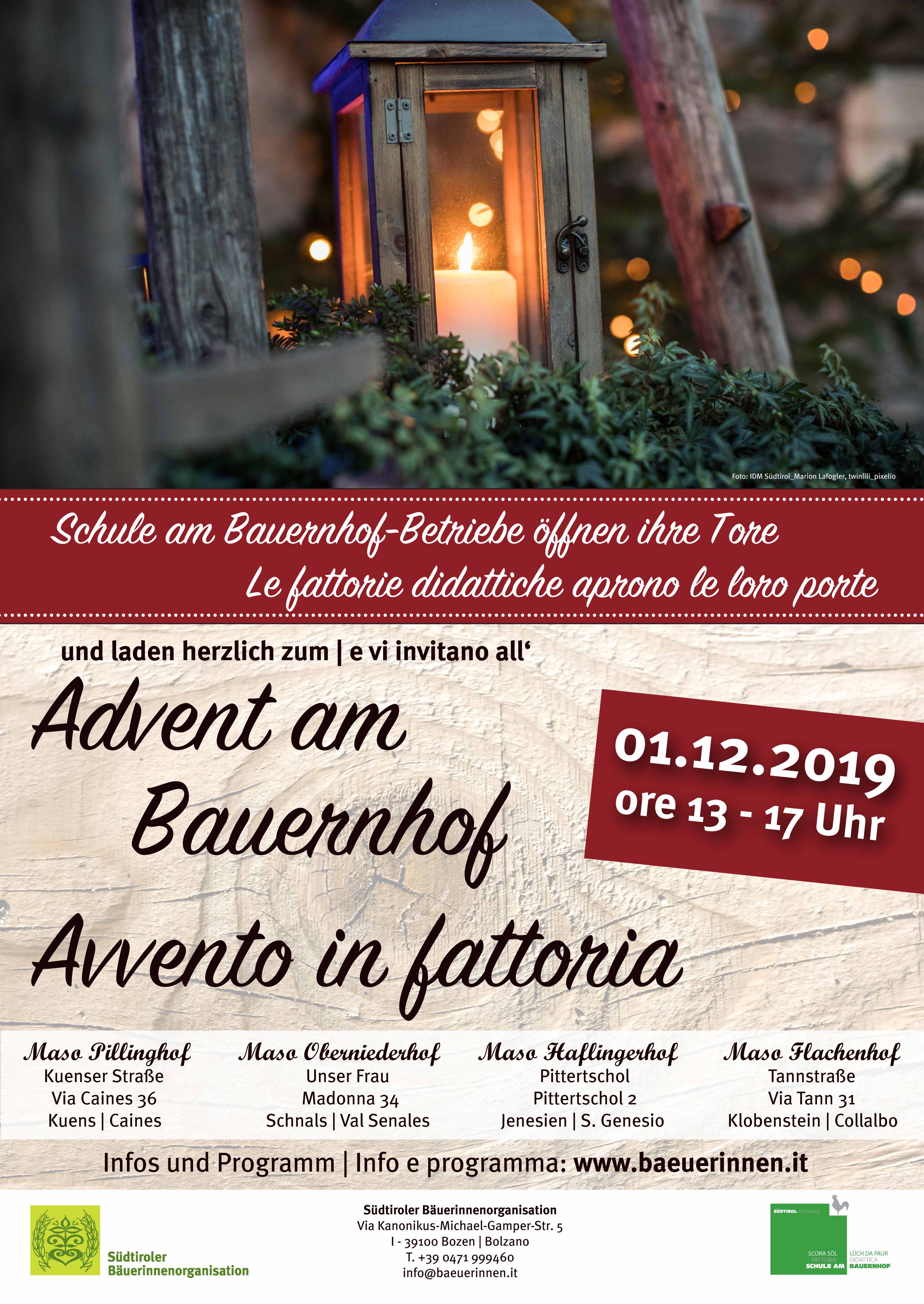 Plakat Advent kl