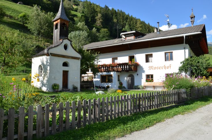 Führung: Moserhof in Steinhaus