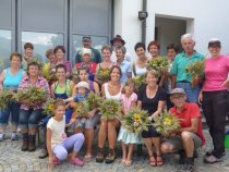 SBO-Ortsgruppe Galsaun - Kräuterwanderung