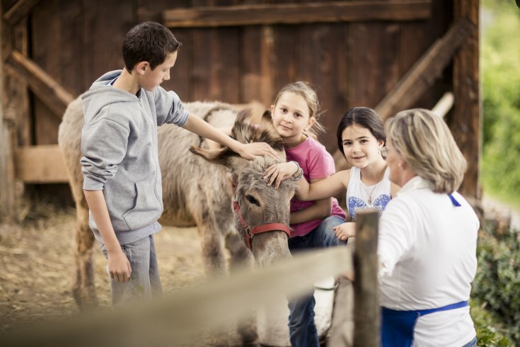 Potentiale der Sozialen Landwirtschaft