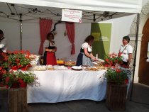 Wein & Ambiente