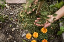 Seminar: Frühlingserwachen in Permakulturgarten