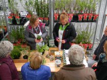 Bewährtes und neues Wissen rund um den Kräutergarten