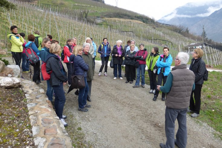 Hofbesichtigung auf dem Weingut Plonerhof