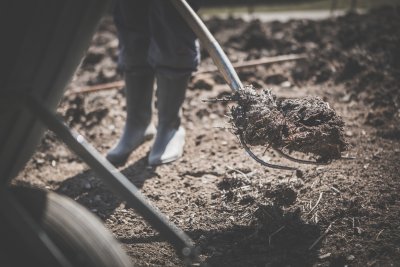 Gartenstart im März: Bodenbearbeitung und düngen