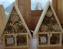 Kurs "Bau eines Insektenhauses für Garten"
