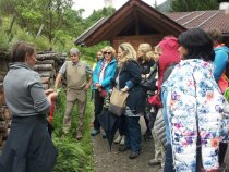 Führungen: Kräuterwanderungen St. Leonhard i.P.