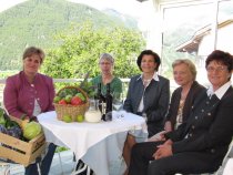 Jahresbericht 2010
