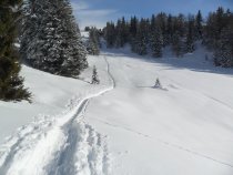 SBO-Bezirk Eisacktal: Winterwanderung