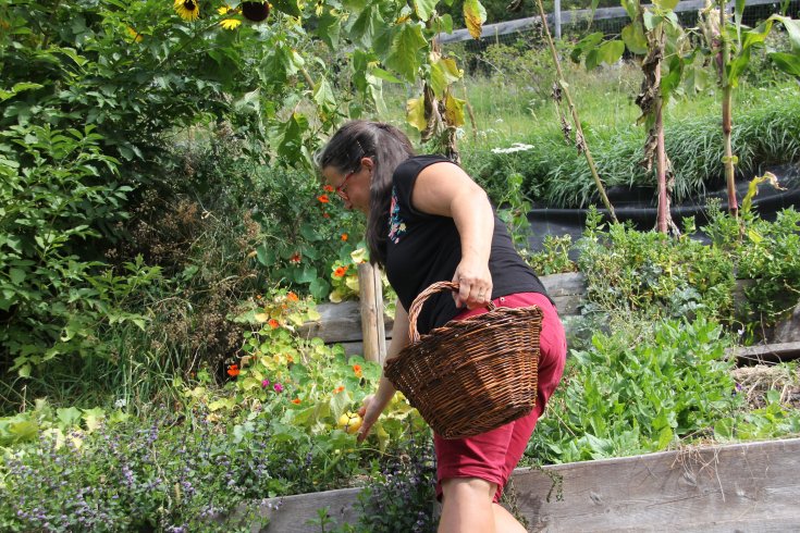 Sendung: &quot;Hinterm Gartenzaun&quot;