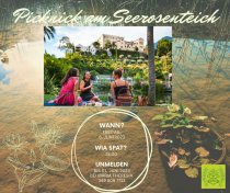 Picknick am Seerosenteich