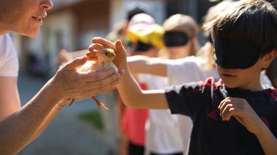 Neuer Imagefilm und Schulbroschüre