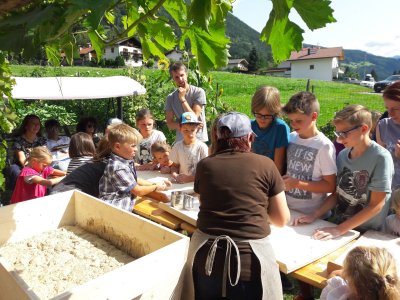 Bauern-Brot gestern und heute