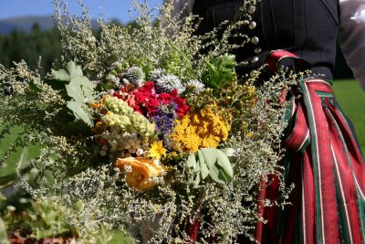 Mazzetti di erbe come rimedi naturali