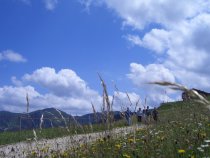 SBO-Bezirk Bozen - Sommerausflug