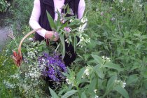 Führungen: Wild- und Gartenkräuter in Prissian