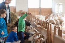 Schule am Bauernhof öffnet Hoftore