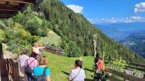 Beim Wieserhof in Pawigl