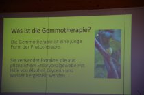 Gemmotherapie - die Heilkraft der Knospen