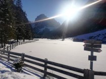 SBO-Bezirk Pustertal Rodelausflug