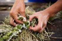 Bastelkurs mit Heu: Endlich Frühling