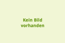 Fleischbank